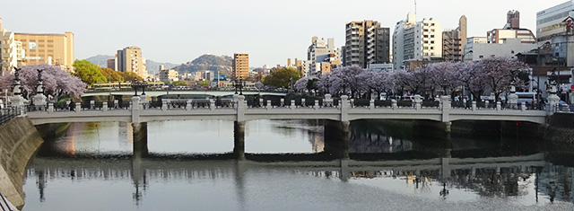 原爆に耐えた現役の道路橋・猿猴橋・全景・桜｜広島県コンクリート診断士会